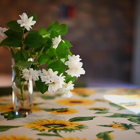 Antico Podere Carbone * Grosseto